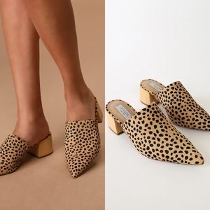 Steven New York Steve Madden Fannie Cheetah Print Mules